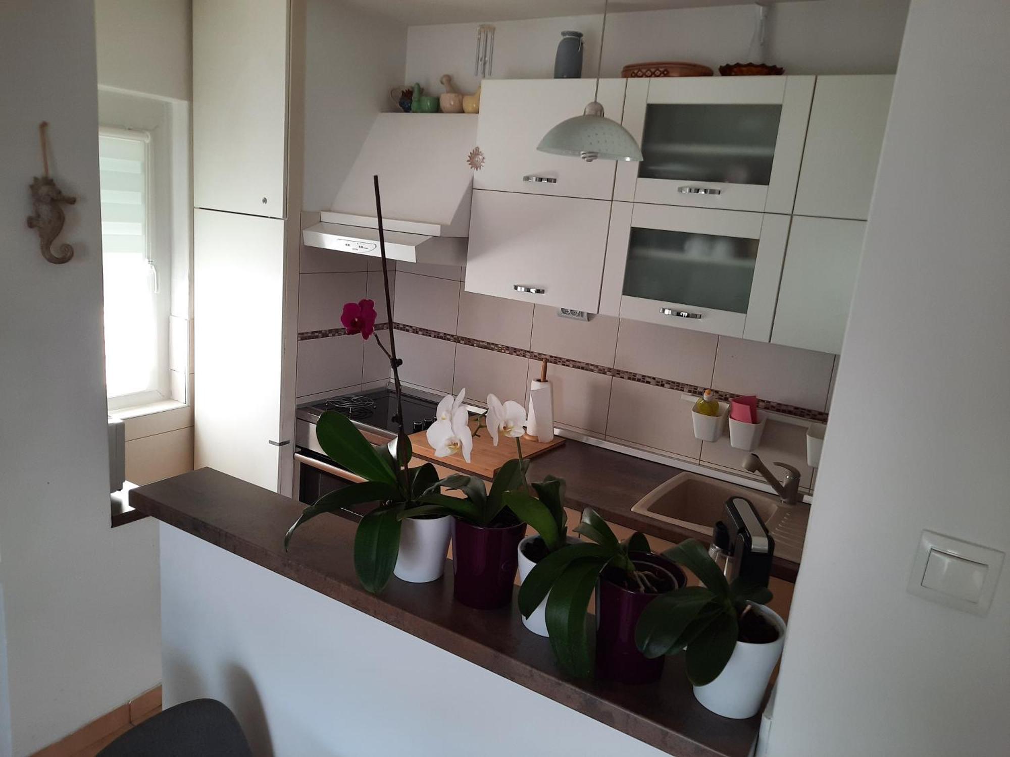 Apartments Anita Crikvenica Zimmer foto